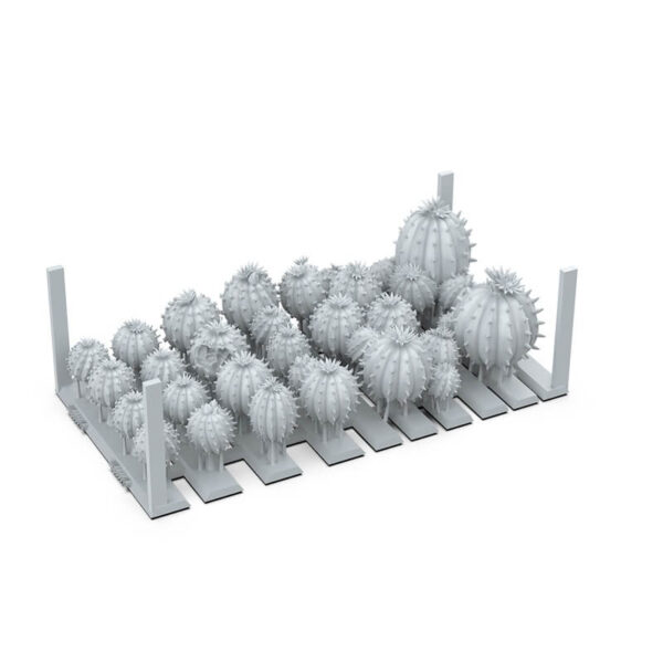 AK Basing Bits Barrel Cactus – Bild 3