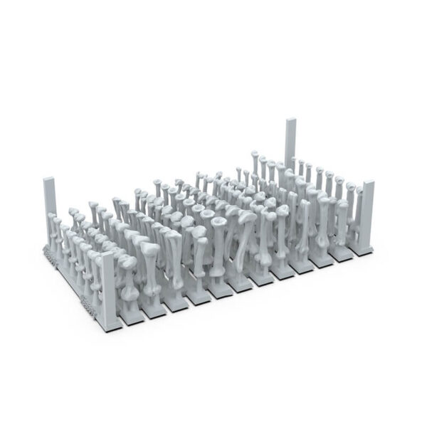 AK Basing Bits Human Bones – Bild 3