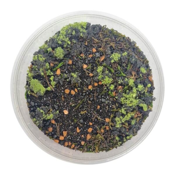 Basetopping Warground 140ml – Bild 2