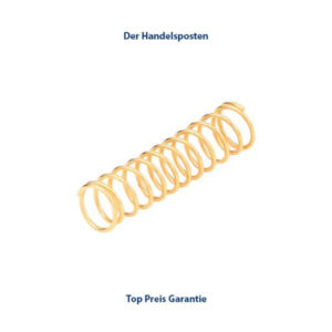 Harder & Steenbeck Feder Gold für Nadelspannfutter Infinity 2024