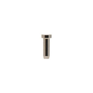 Iwata I 500 1 Ventilstempel